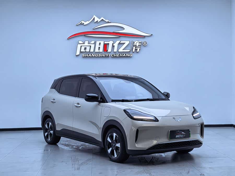 Wuling Bingo PLUS 2024