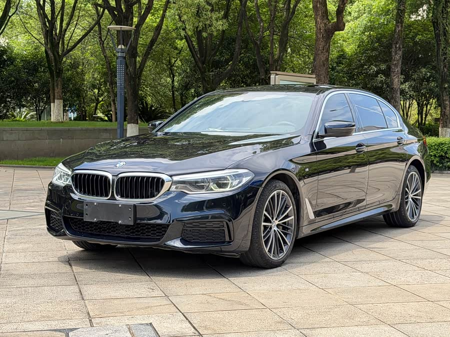 BMW 5 Series 2020