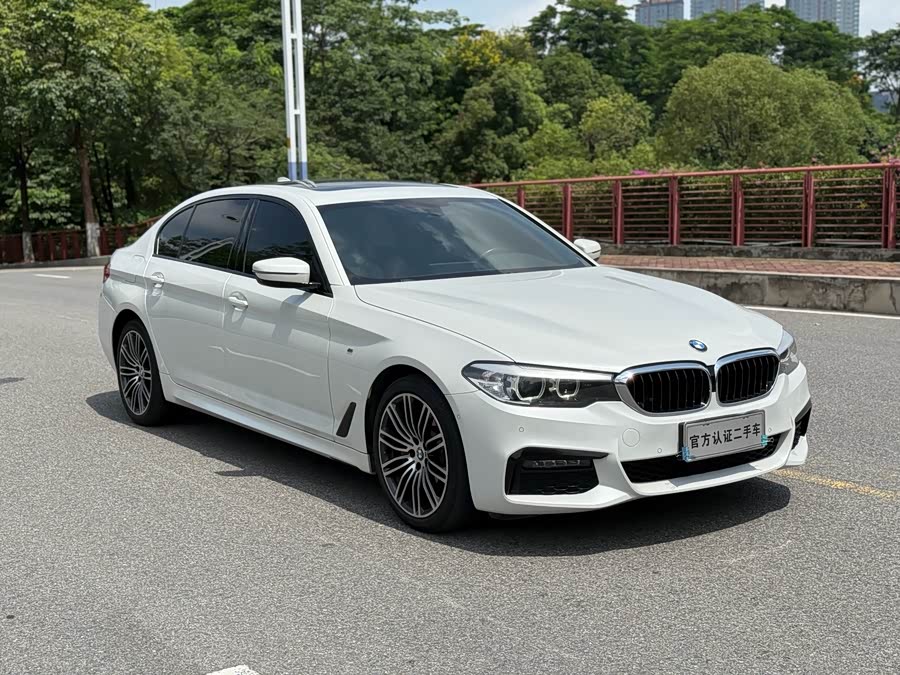 BMW 5 Series 2019
