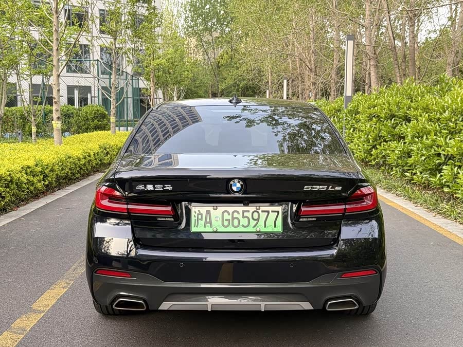 BMW 5 Series New Energy 2021