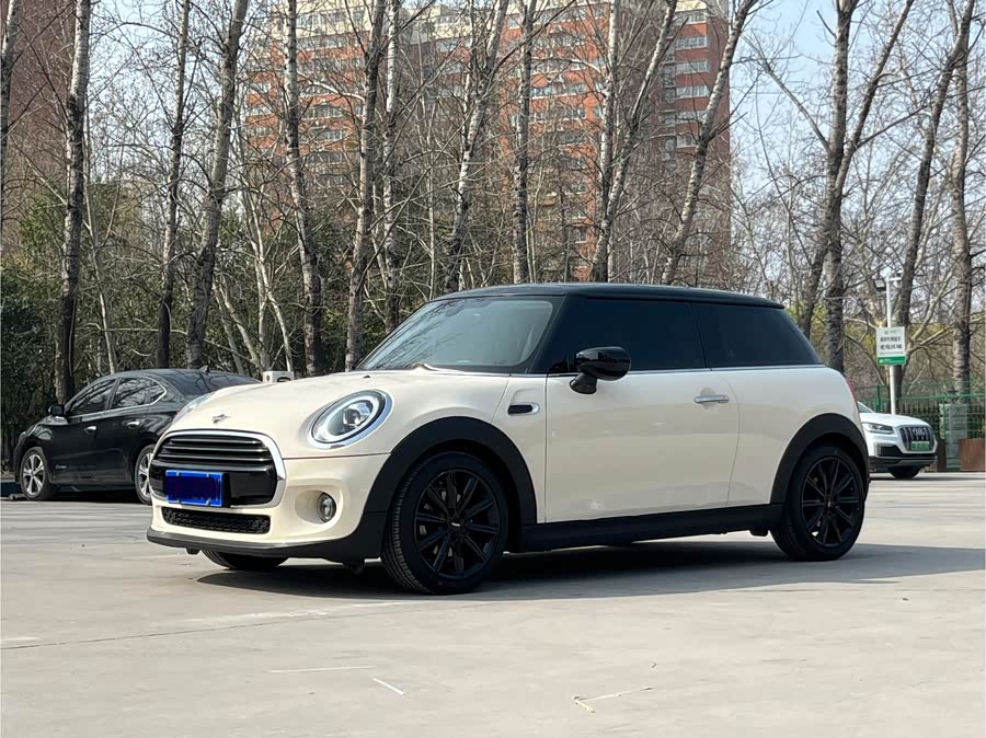 MINI MINI 2019