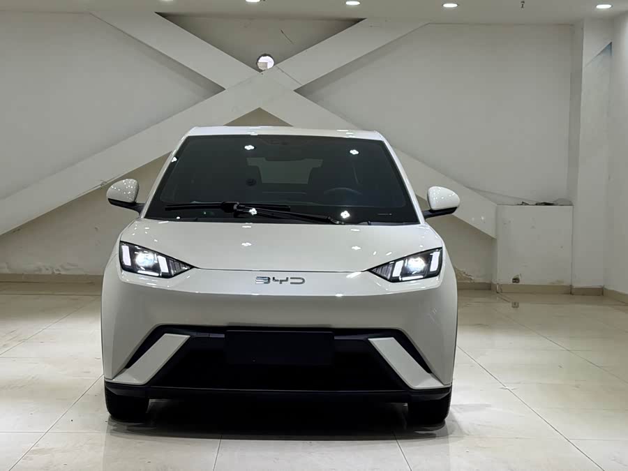 BYD Seagull 2024
