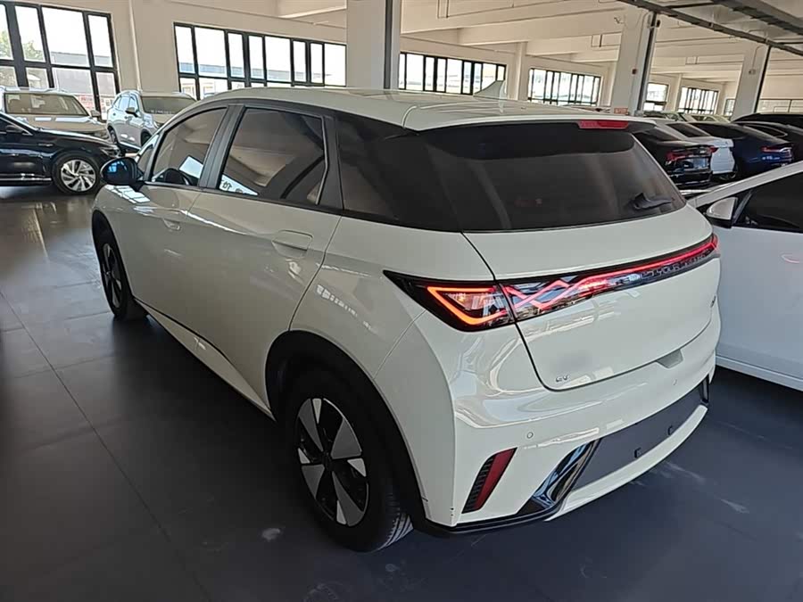 BYD Dolphin 2023