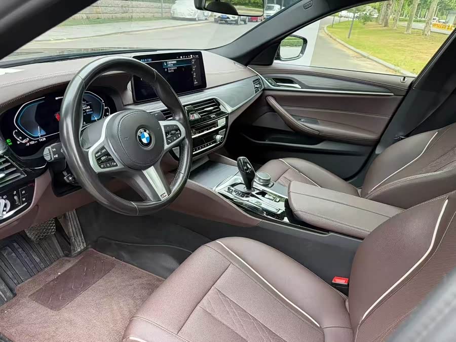 BMW 5 Series New Energy 2021