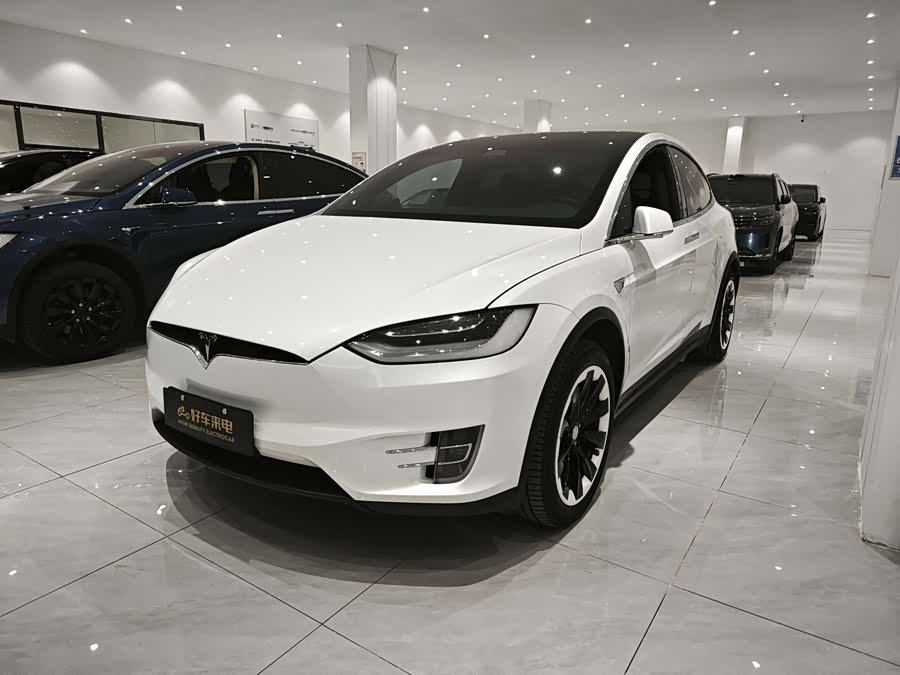Tesla Model X 2019
