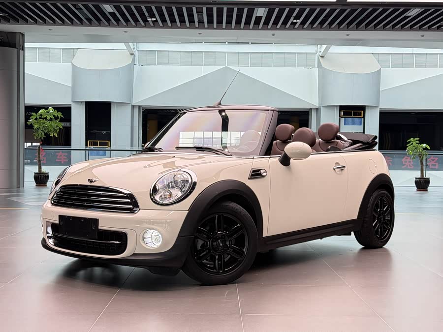 MINI MINI 2012