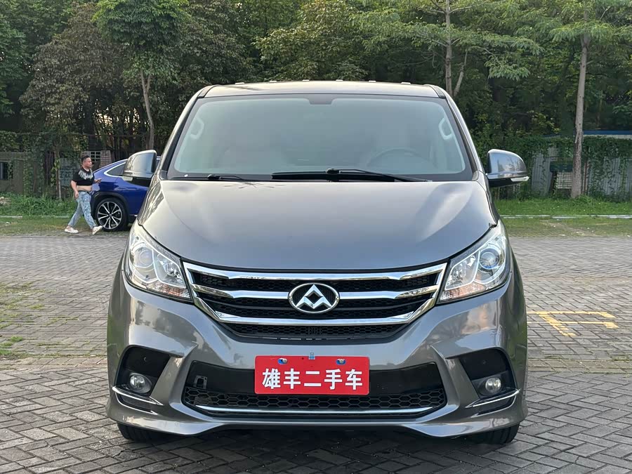 Maxus G10 2019