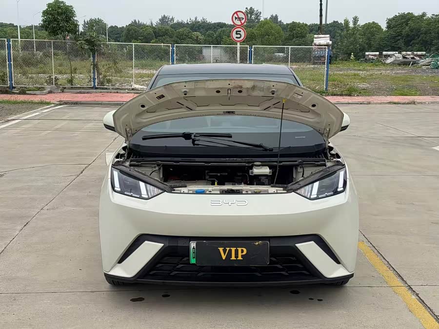 BYD Seagull 2024