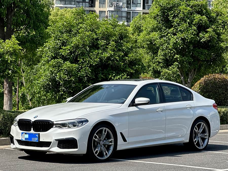 BMW 5 Series 2020