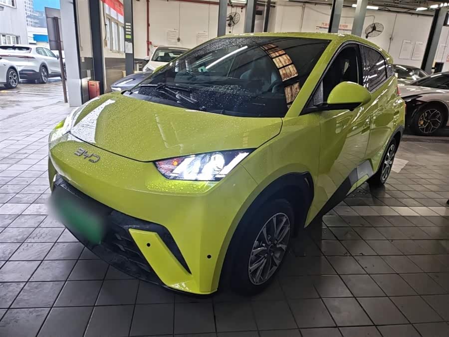 BYD Seagull 2024