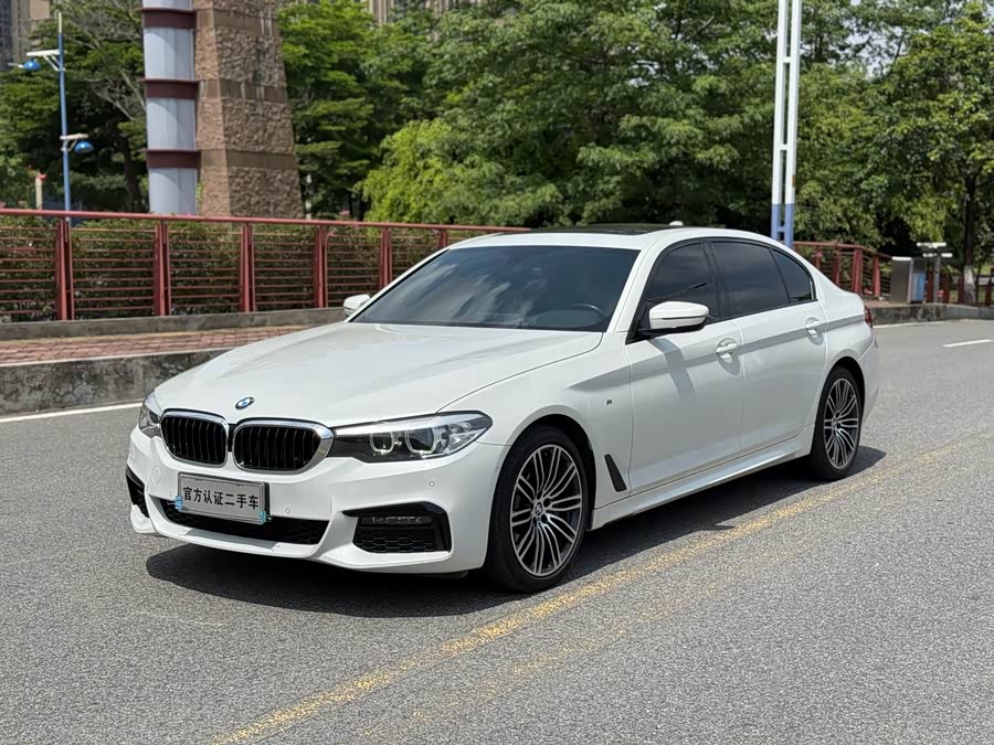 BMW 5 Series 2019