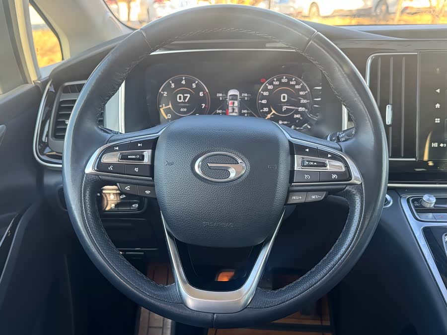 GAC Trumpchi M8 2021 — фото 12