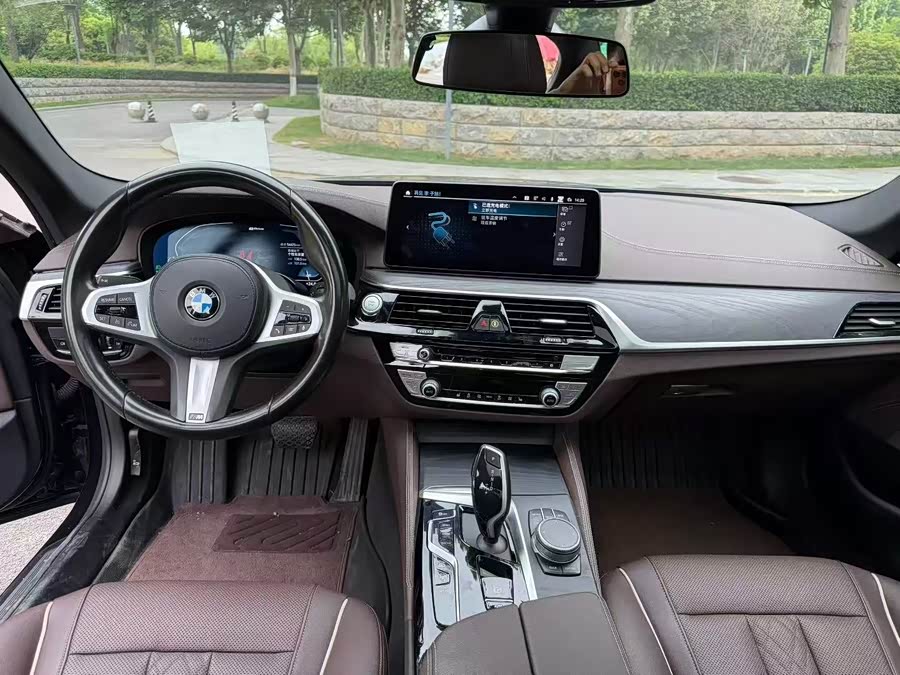BMW 5 Series New Energy 2021