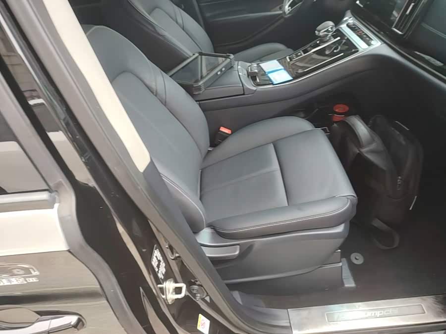 GAC Trumpchi M8 2021 — фото 25