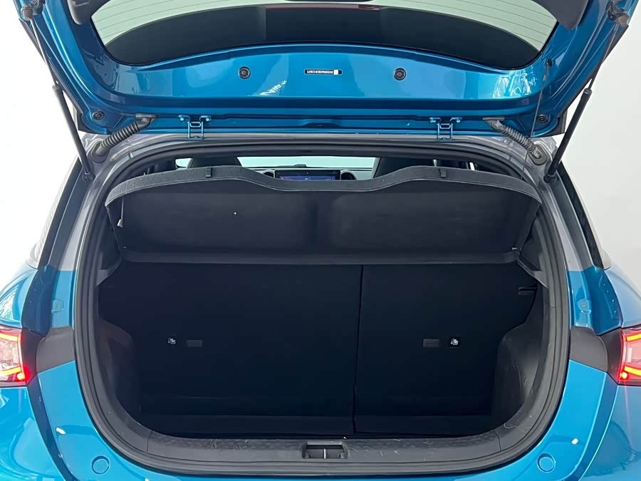 BYD Dolphin 2023