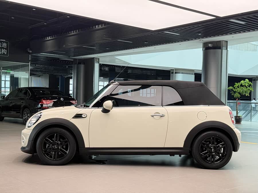MINI MINI 2012