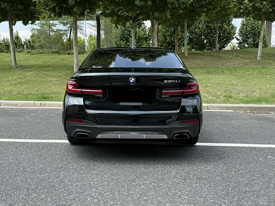 BMW 5 Series 2019