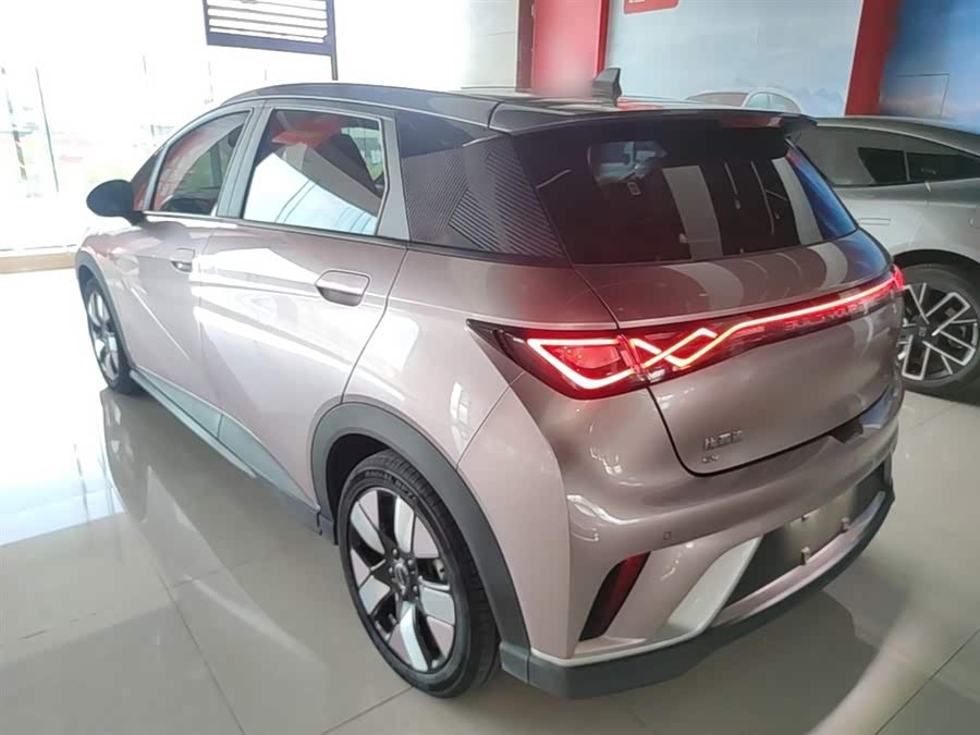 BYD Dolphin 2021