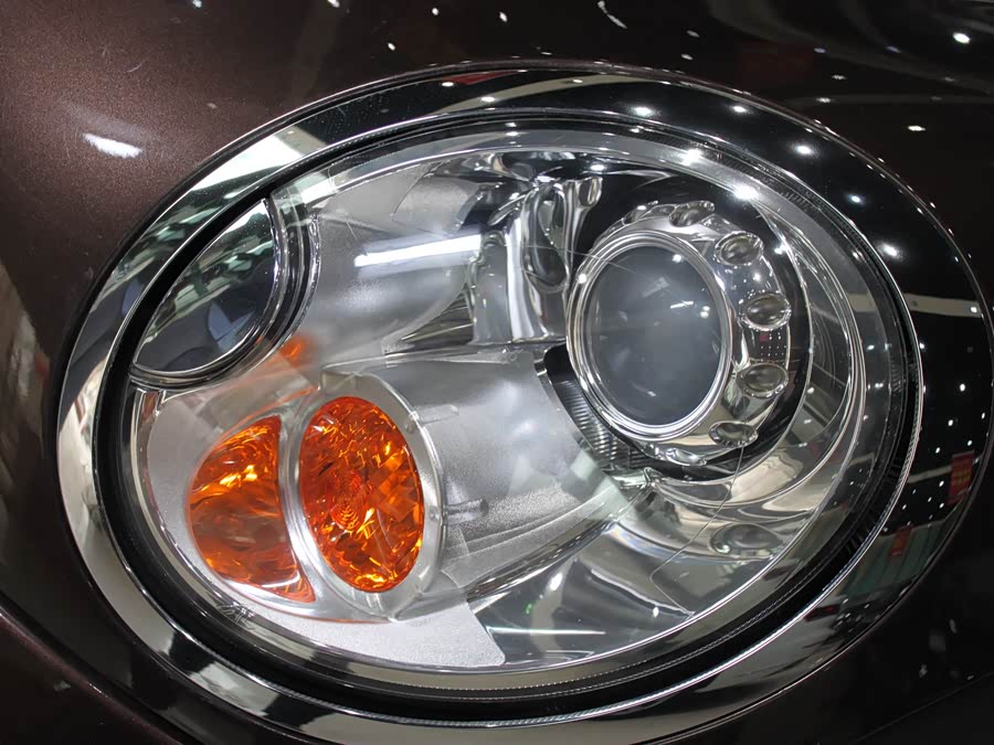 MINI MINI 2010