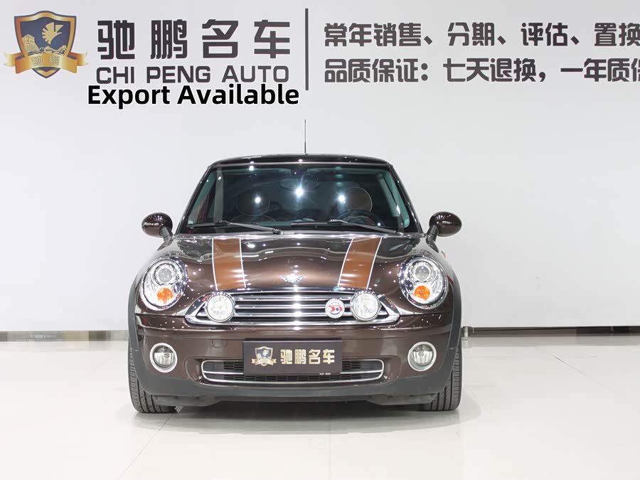 MINI MINI 2010