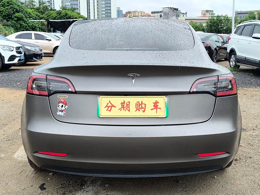 Tesla Model 3 2021
