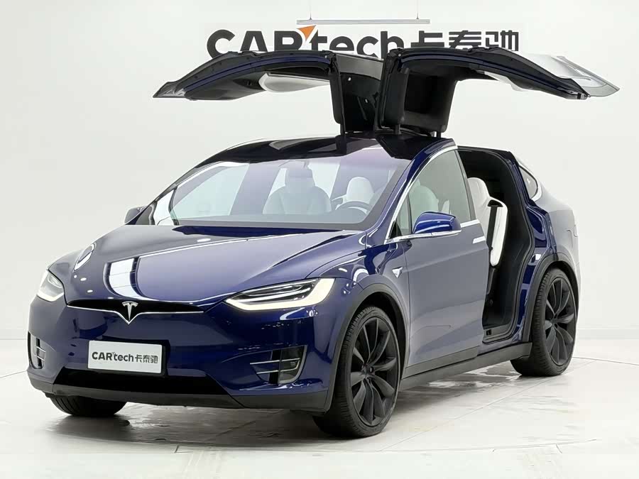 Tesla Model X 2019