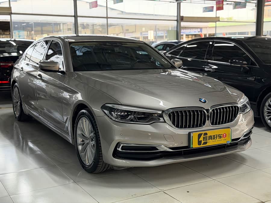 BMW 5 Series New Energy 2020