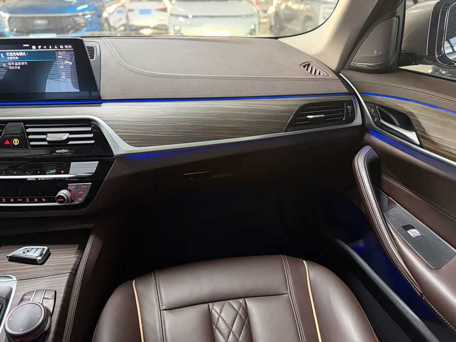 BMW 5 Series New Energy 2020 — фото 11