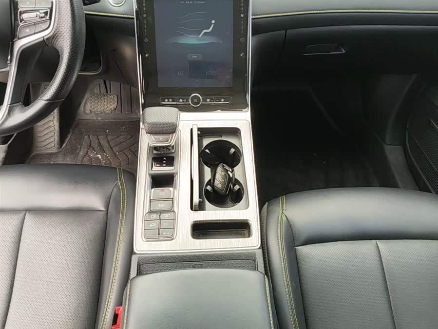 Roewe RX5 New Energy 2020 — фото 14