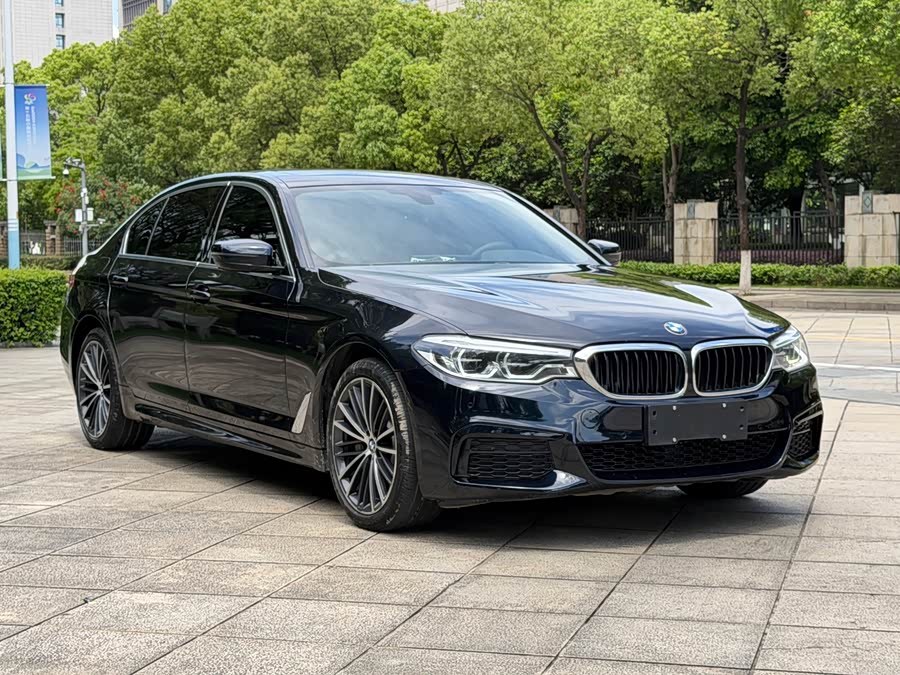 BMW 5 Series 2020