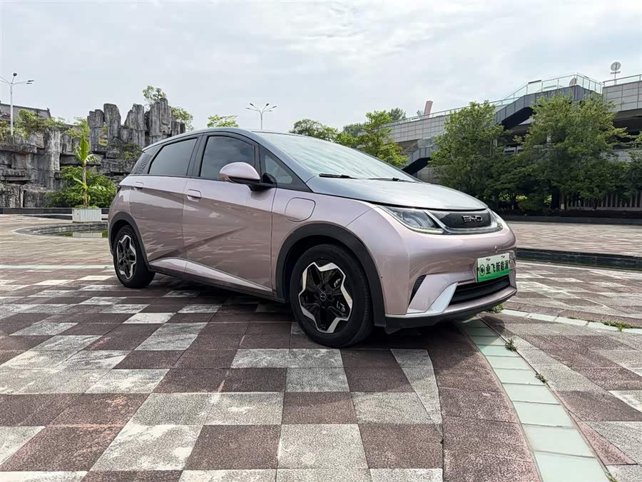 BYD Dolphin 2021