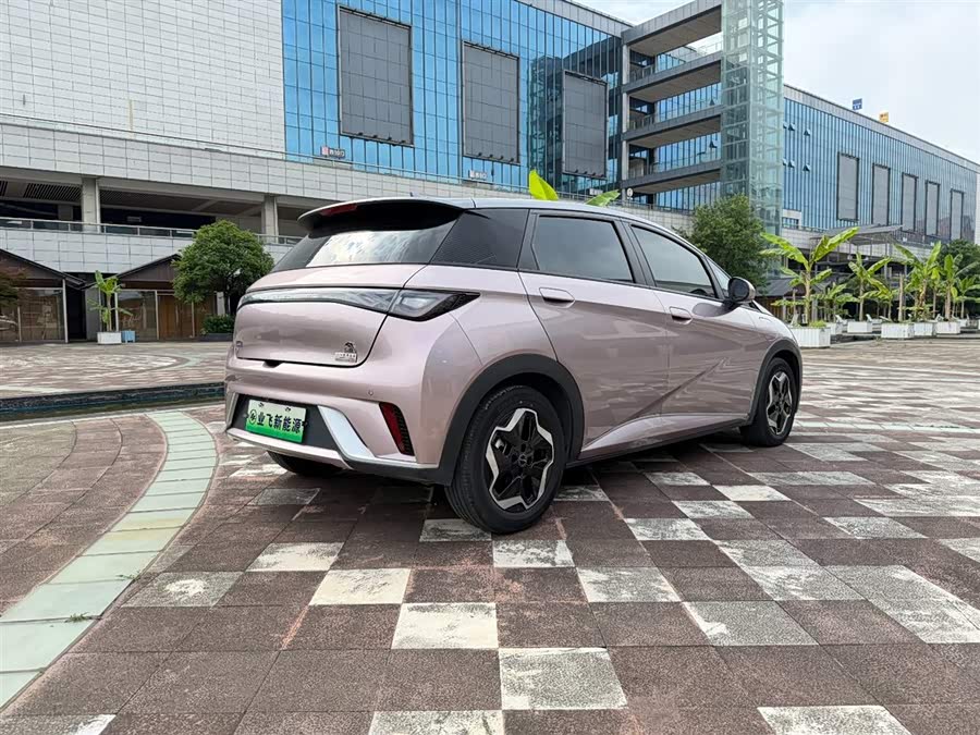 BYD Dolphin 2021