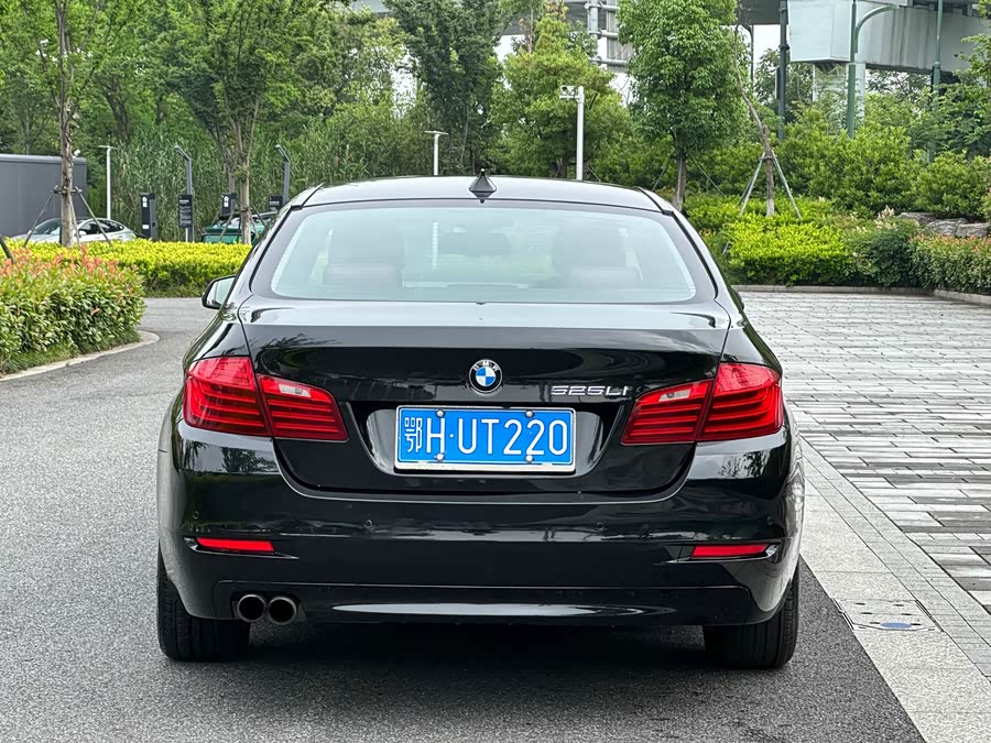 BMW 5 Series 2014
