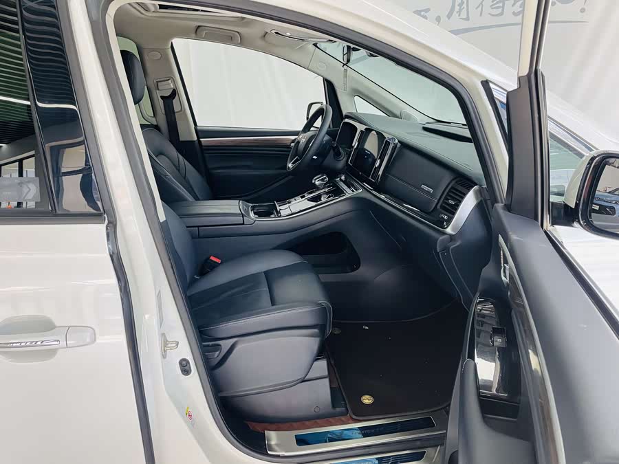 GAC Trumpchi M8 2021 — фото 11