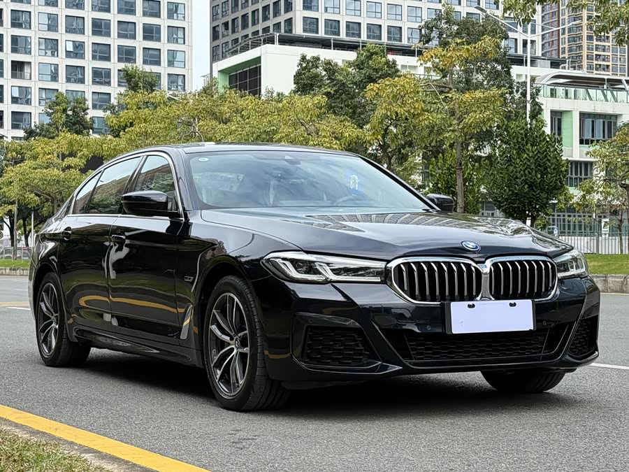 BMW 5 Series New Energy 2022