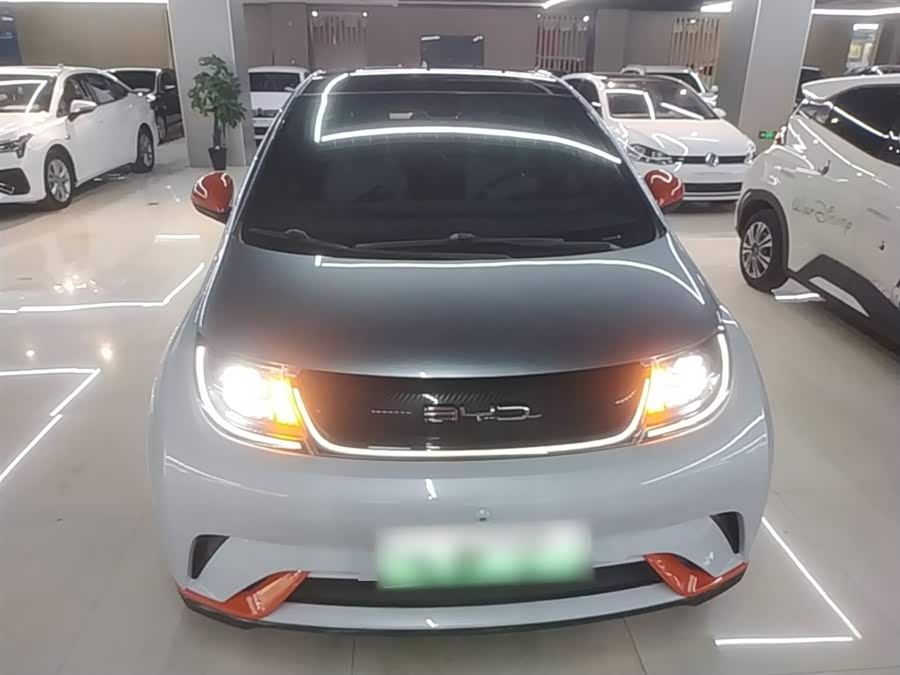 BYD Dolphin 2021