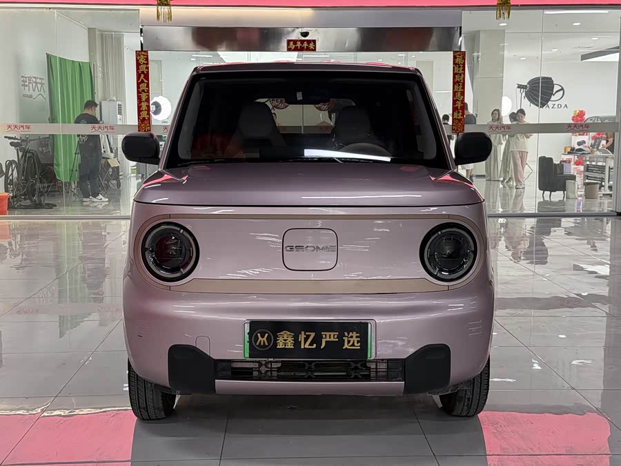 Geely Galaxy Panda 2024