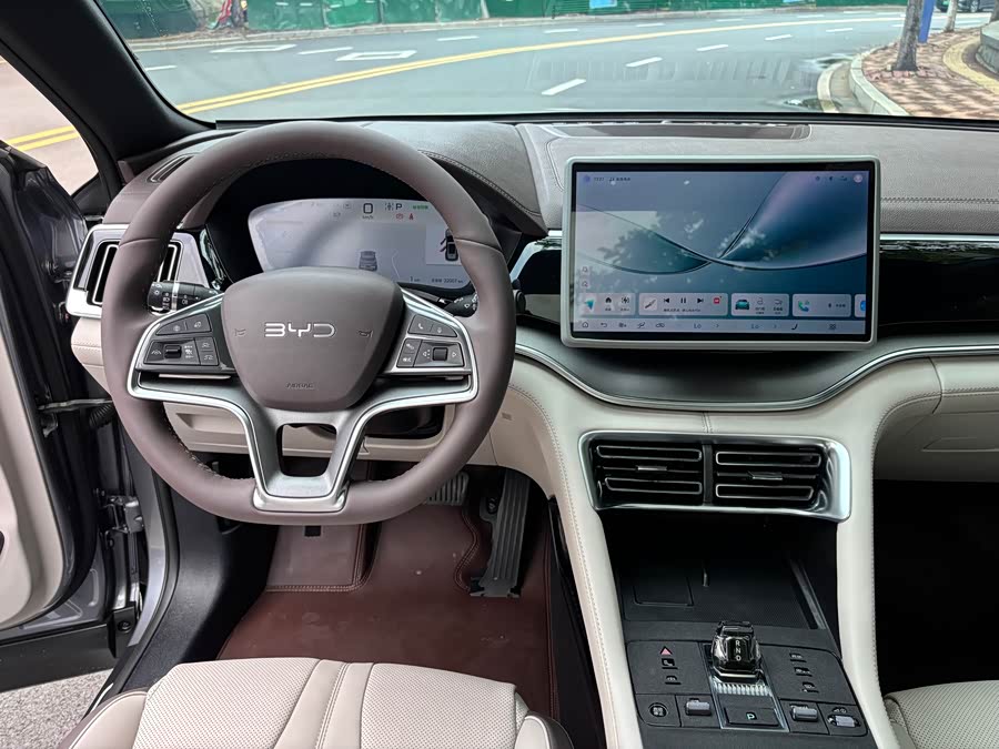 BYD Song PLUS New Energy 2025 — фото 20