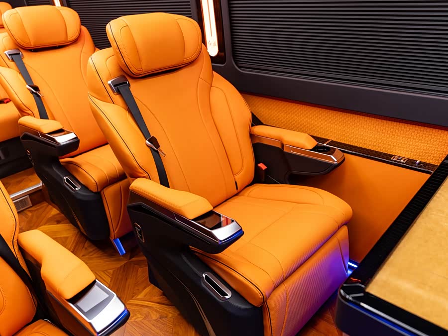 Hongqi Golden Sunflower 2024 — фото 23