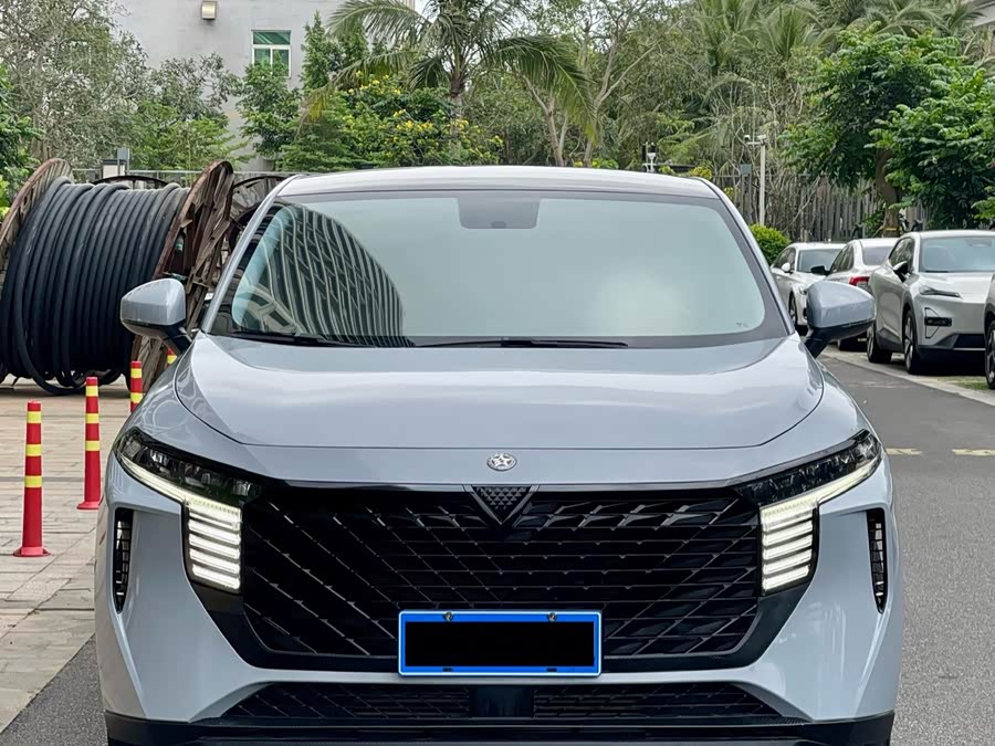 Venucia Big V 2021