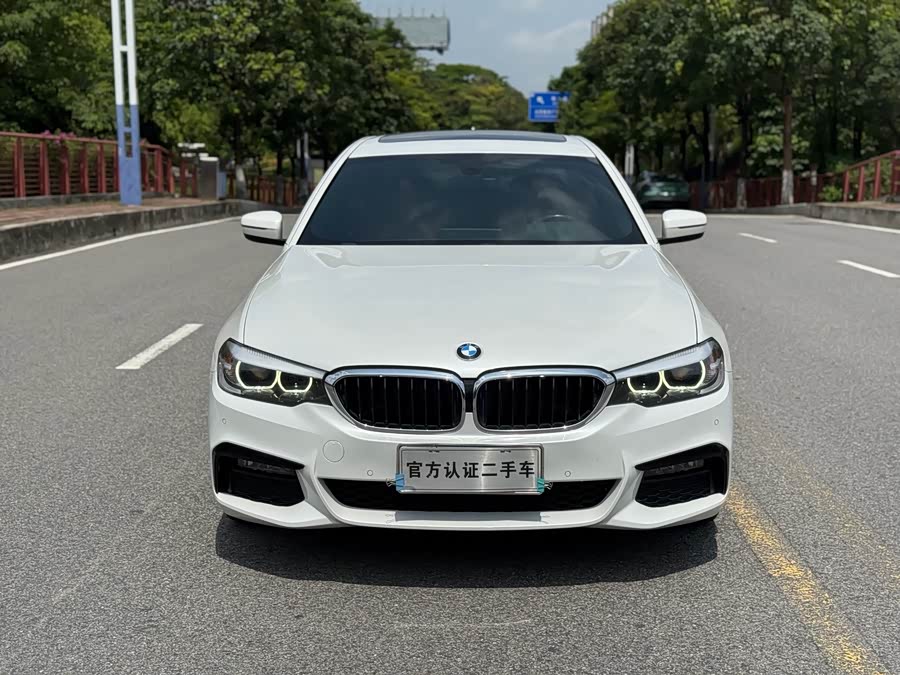 BMW 5 Series 2019