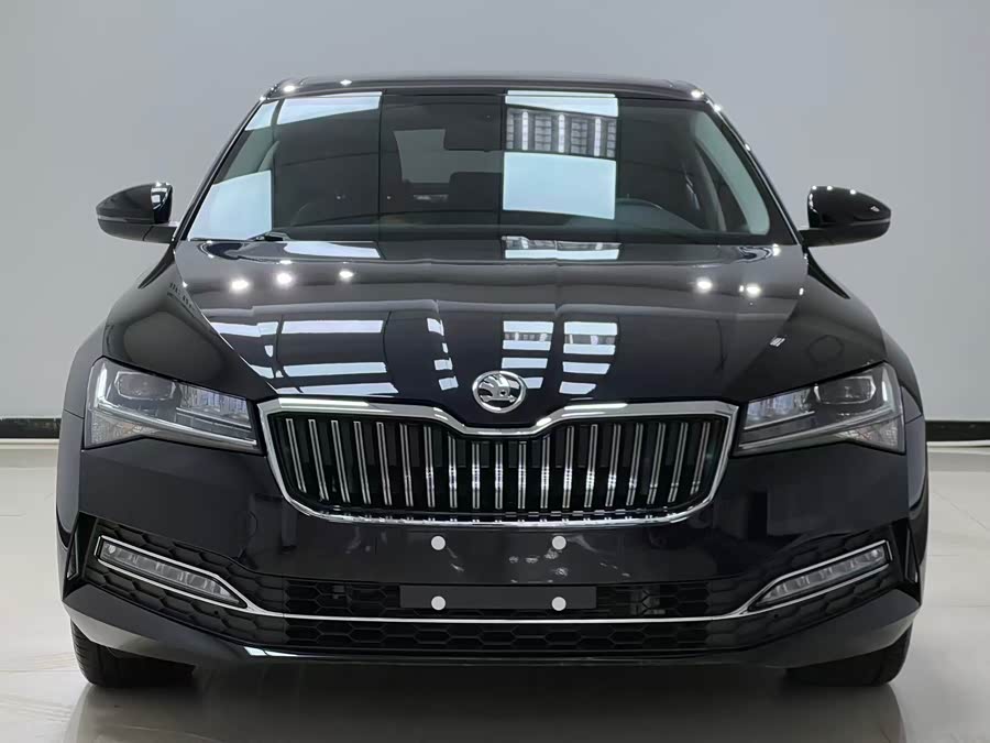 Skoda Speedy 2024