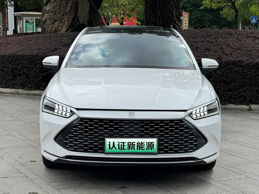 BYD Qin PLUS 2023