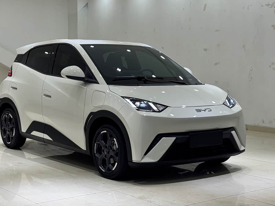 BYD Seagull 2024