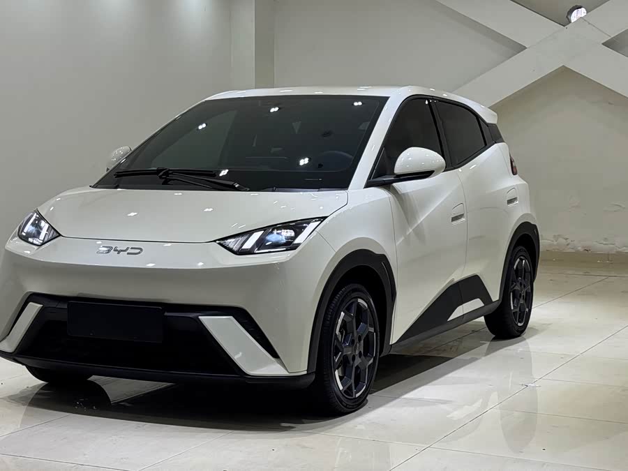 BYD Seagull 2024