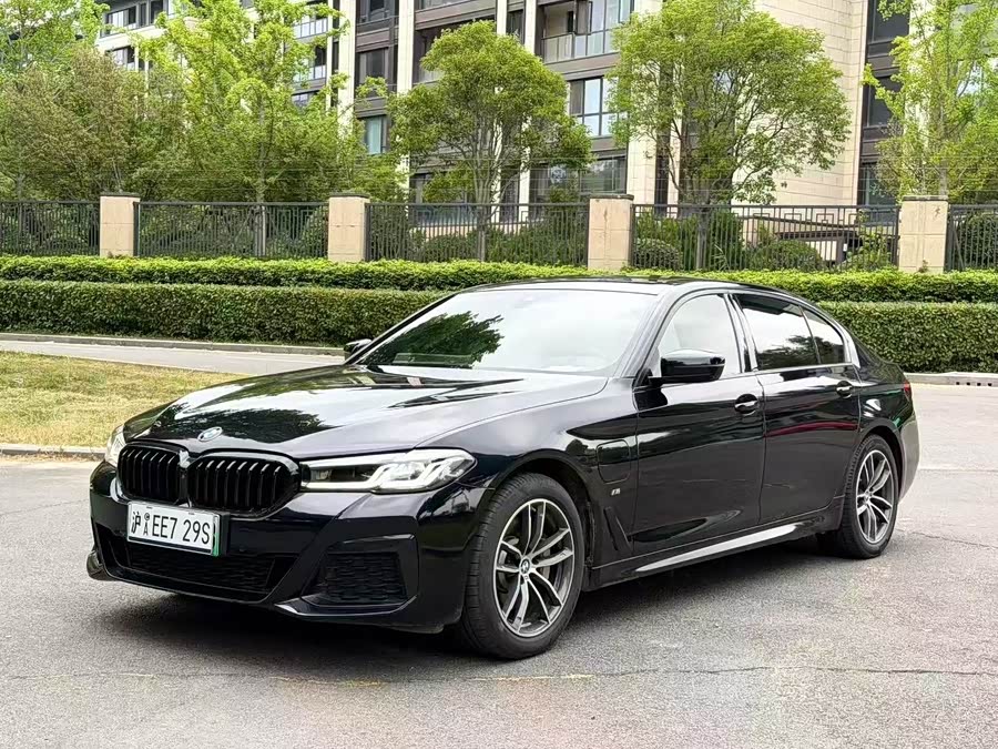 BMW 5 Series New Energy 2021
