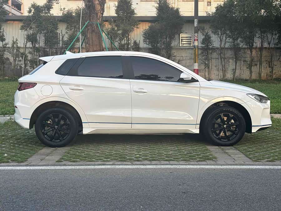 BYD e2 2021