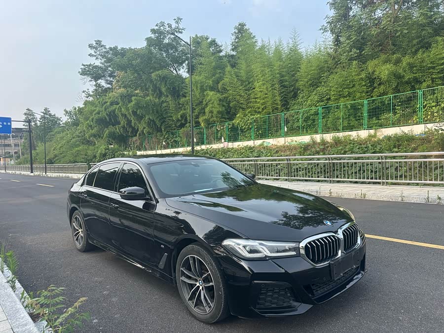 BMW 5 Series 2021
