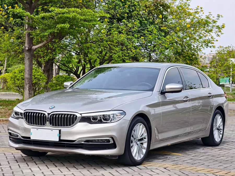 BMW 5 Series 2019