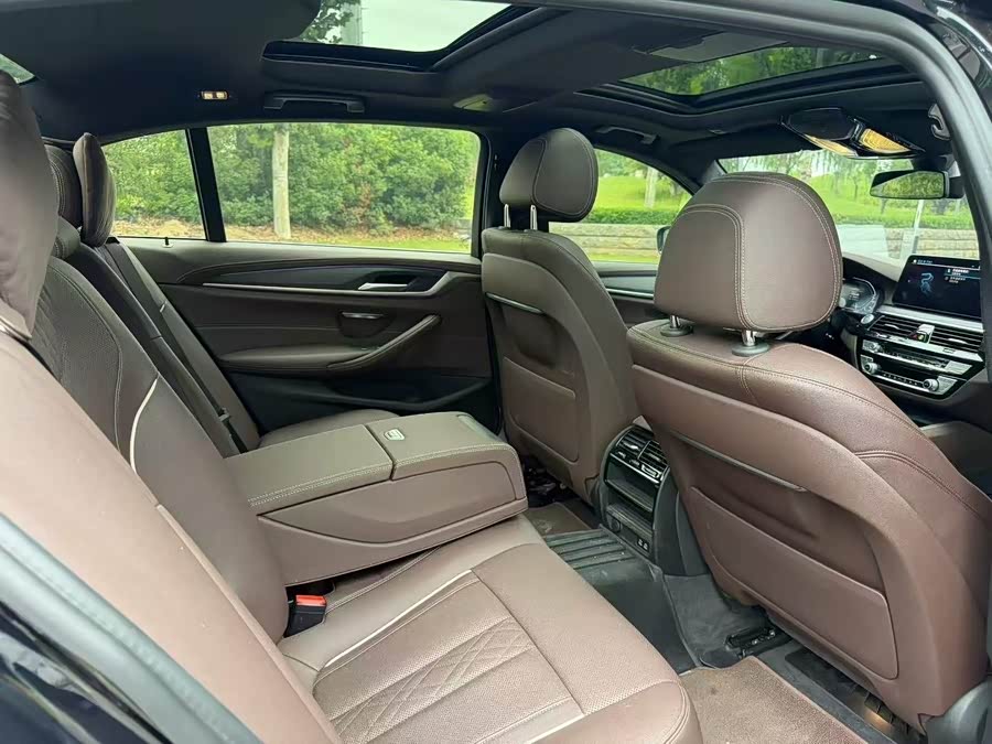 BMW 5 Series New Energy 2021